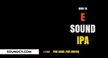 Understanding the IPA E Sound: A Comprehensive Guide to Pronunciation
