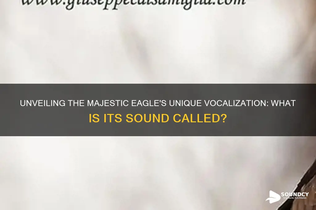 what is eagle sound called