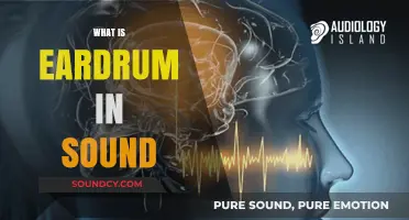 Understanding the Eardrum's Role in Hearing and Sound Perception
