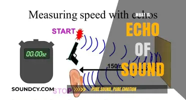 Understanding the Echo of Sound: Causes, Characteristics, and Real-World Applications