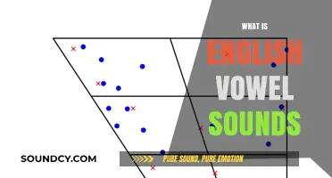 Mastering English Vowel Sounds: A Comprehensive Guide to Pronunciation