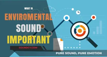 Why Environmental Sound Matters: Exploring Its Vital Role in Ecosystems