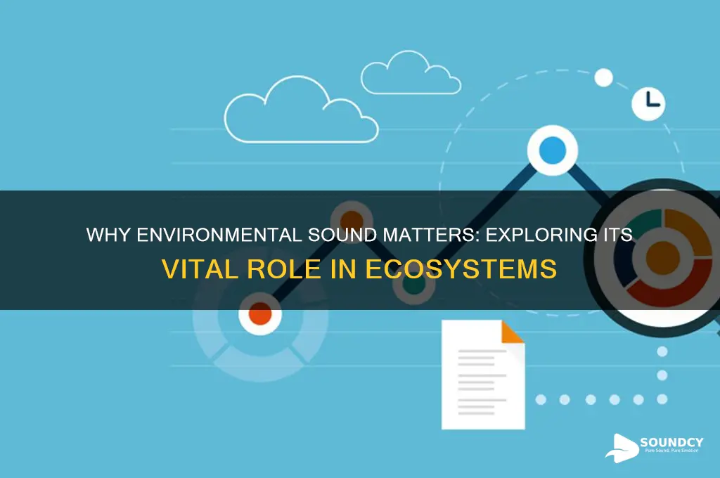 what is enviromental sound important