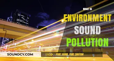 Understanding Environmental Sound Pollution: Causes, Effects, and Solutions