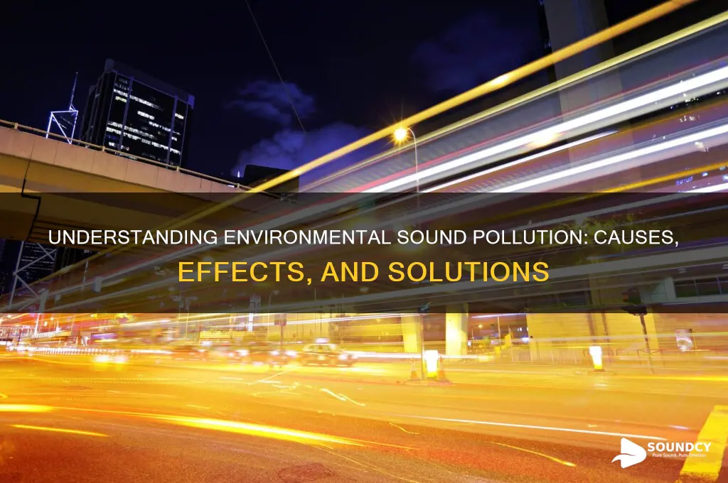 what is environmental sound pollution