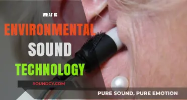 Exploring Environmental Sound Technology: Enhancing Spaces with Acoustic Innovations