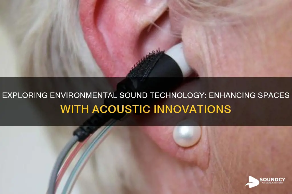what is environmental sound technology
