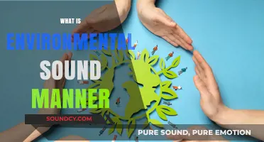 Understanding Environmentally Sound Practices for a Sustainable Future