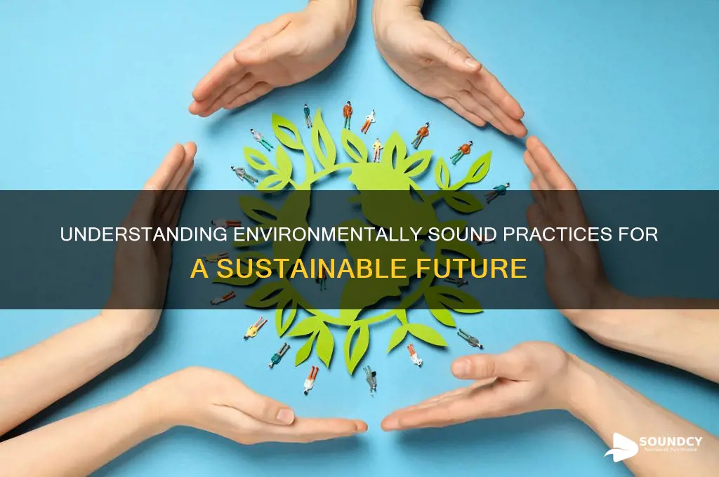 what is environmentally sound manner