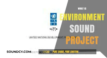 Sustainable Development: Understanding Environmentally Sound Projects and Their Impact