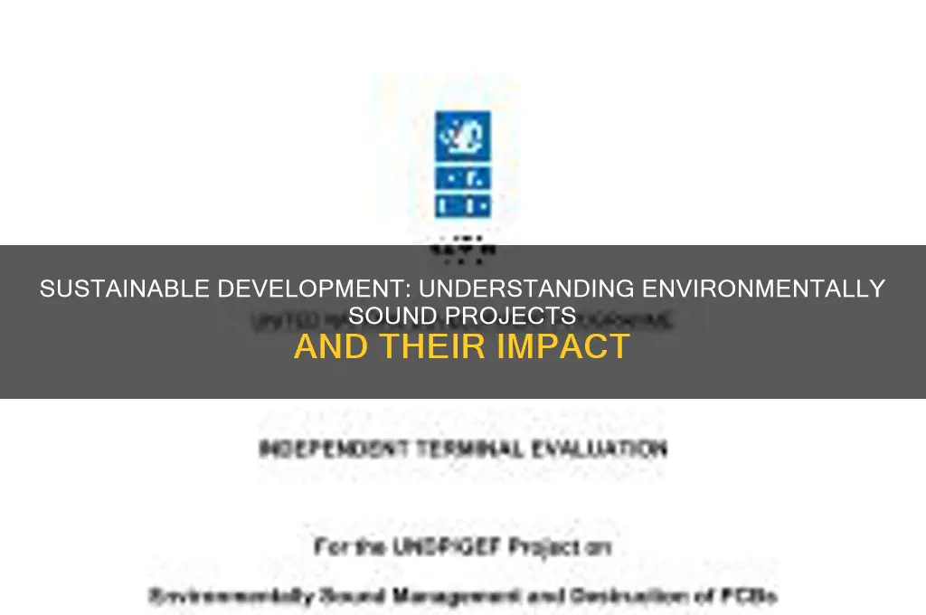 what is environmentally sound project