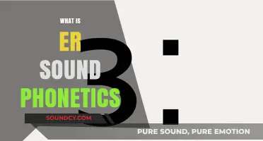 Understanding the ER Sound: A Guide to Phonetics and Pronunciation