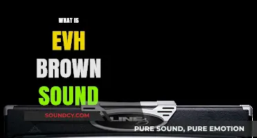 Unveiling the Iconic EVH Brown Sound: A Guitar Tone Legend Explained