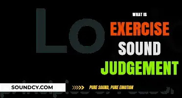 Mastering Sound Judgment: Key Principles for Wise Decision-Making
