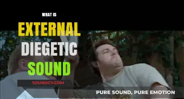 Understanding External Diegetic Sound: Its Role and Impact in Filmmaking