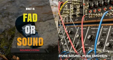Fad or Sound: Decoding Trends vs. Lasting Value in Modern Practices