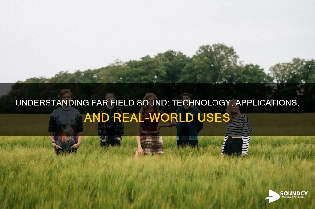 what is far field sound