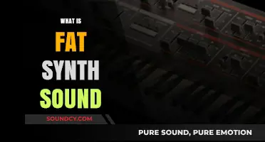 Unveiling the Rich, Bold World of Fat Synth Sounds in Music