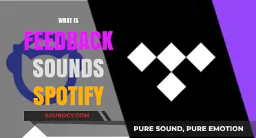 Understanding Feedback Sounds on Spotify: A Comprehensive Guide for Users