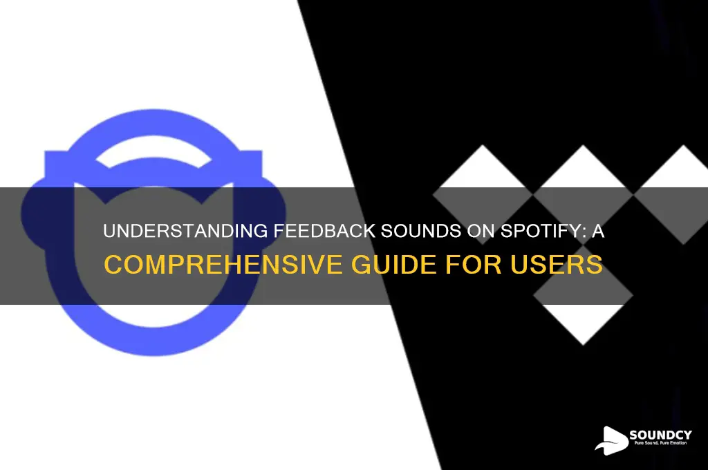 what is feedback sounds spotify