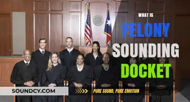 Understanding Felony Sounding Docket: Definition, Process, and Legal Implications