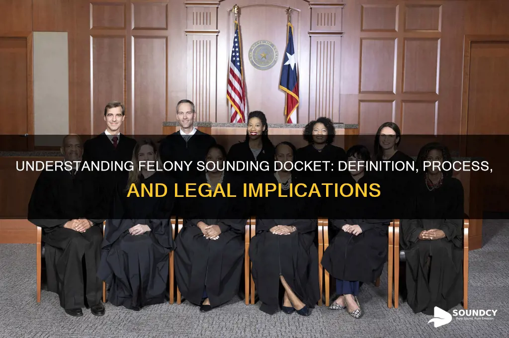 what is felony sounding docket