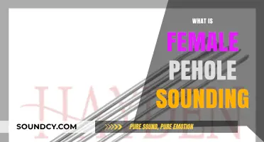 Understanding Female Urethral Sounding: A Comprehensive Guide to the Practice