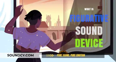 Exploring Figurative Sound Devices: Enhancing Language Through Sonic Imagery