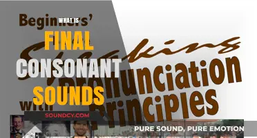 Understanding Final Consonant Sounds: A Comprehensive Guide to Pronunciation