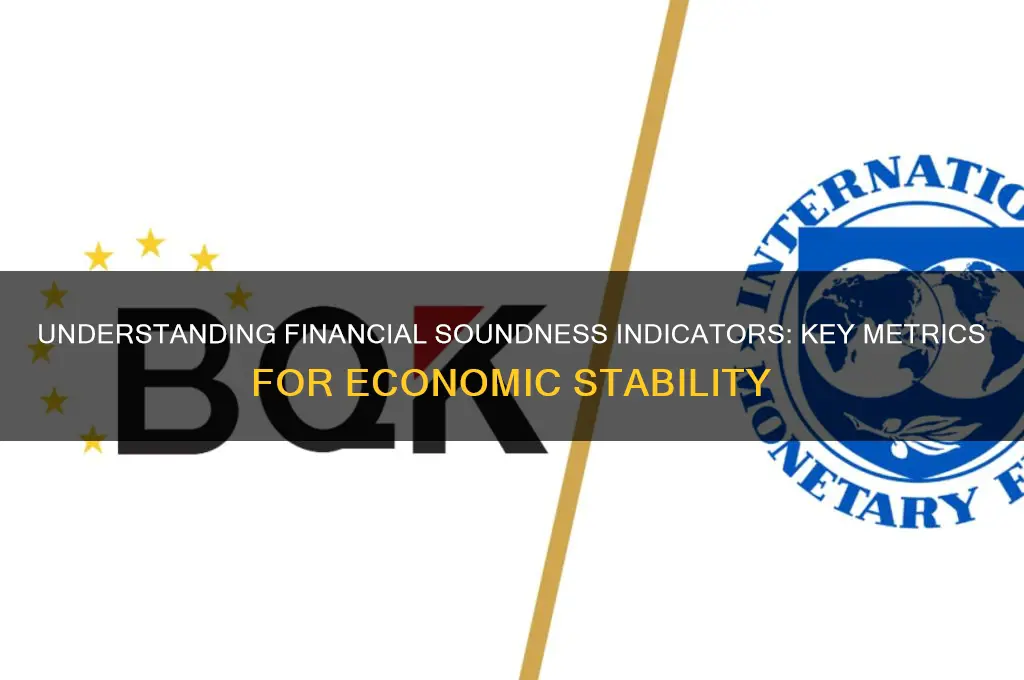 what is financial soundness indicators