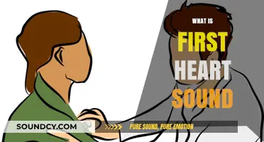 Understanding the First Heart Sound: A Comprehensive Guide to S1