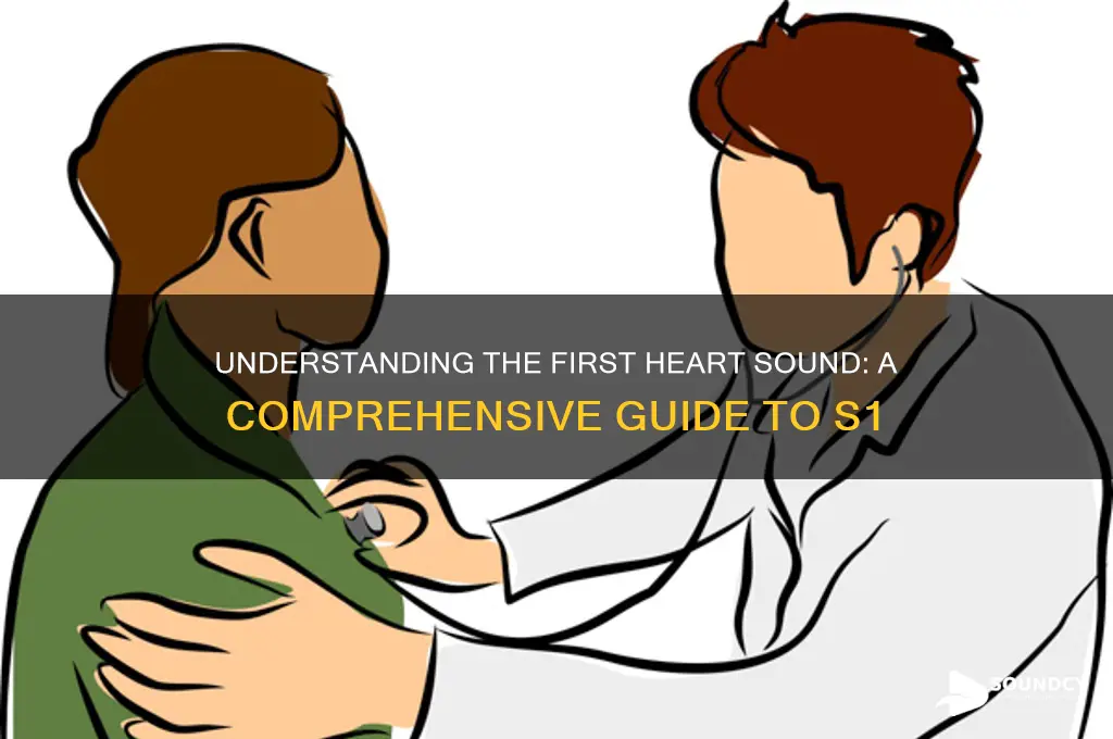 what is first heart sound