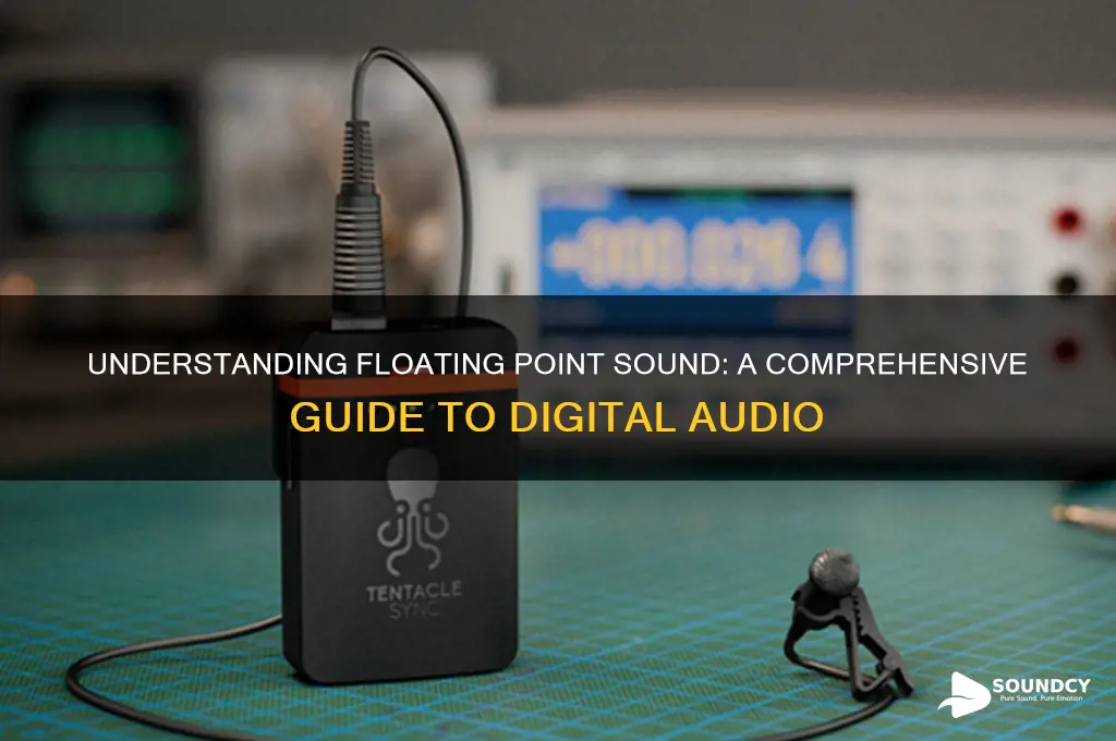 what is floating point sound