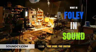 Unveiling Foley Art: Crafting Realistic Sound Effects in Film and Media