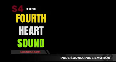 Understanding the Fourth Heart Sound: Causes, Symptoms, and Diagnosis
