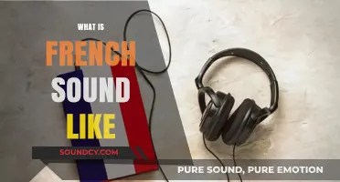 Exploring the Unique Melody and Rhythm of the French Language