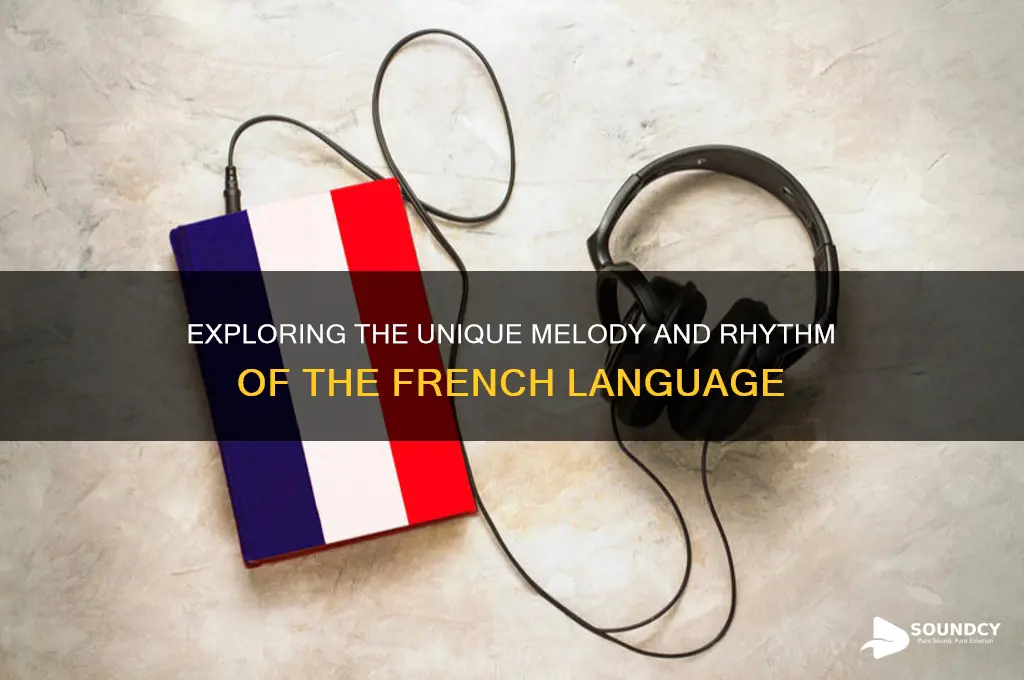 what is french sound like