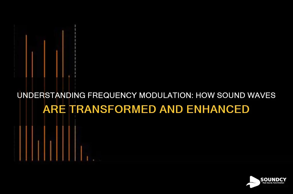 what is frequency modulation sound