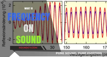 Understanding Sound Frequency: The Science Behind Pitch and Tone