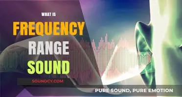 Understanding the Frequency Range of Sound: A Comprehensive Guide
