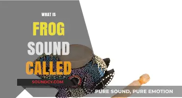 Unveiling the Mystery: What is the Unique Frog Sound Called?