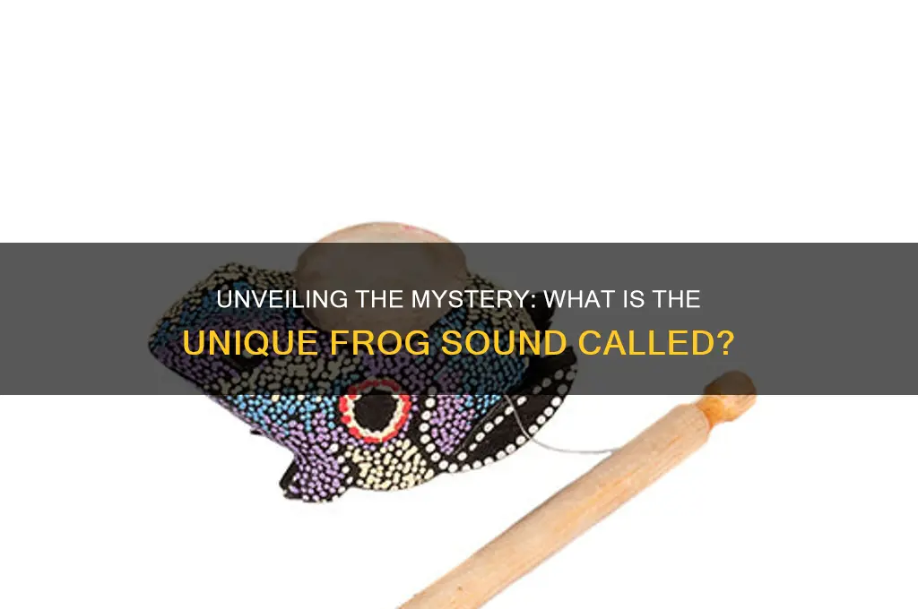 what is frog sound called