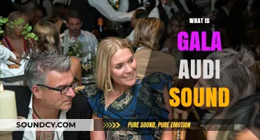 Exploring the Immersive Experience of GALA Audi Sound Technology
