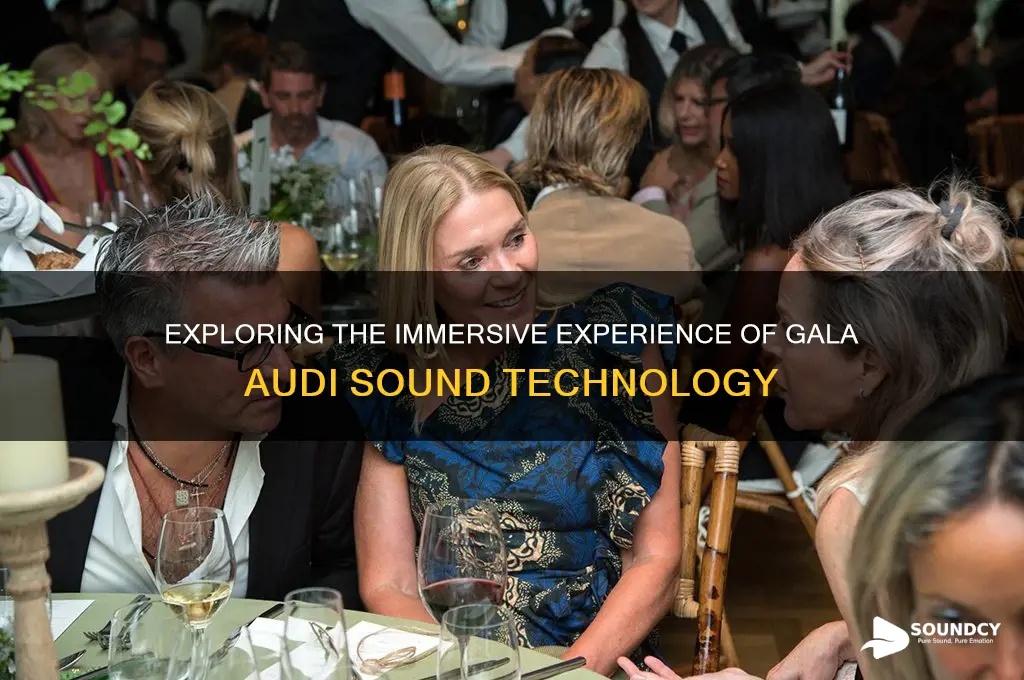 what is gala audi sound