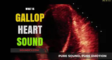 Understanding the Gallop Heart Sound: Causes, Symptoms, and Diagnosis