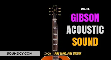 Exploring the Rich, Warm Tone of Gibson Acoustic Sound