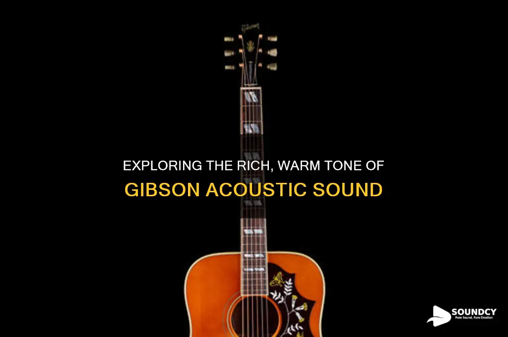 what is gibson acoustic sound