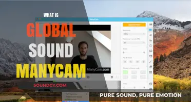Understanding Global Sound ManyCam: Features, Benefits, and How It Works