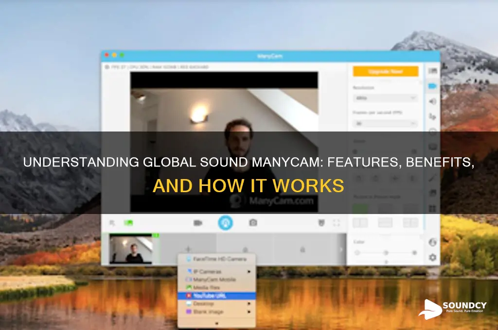 what is global sound manycam