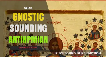 Unveiling the Gnostic Sounding Antinomian: A Mystical Paradox Explored